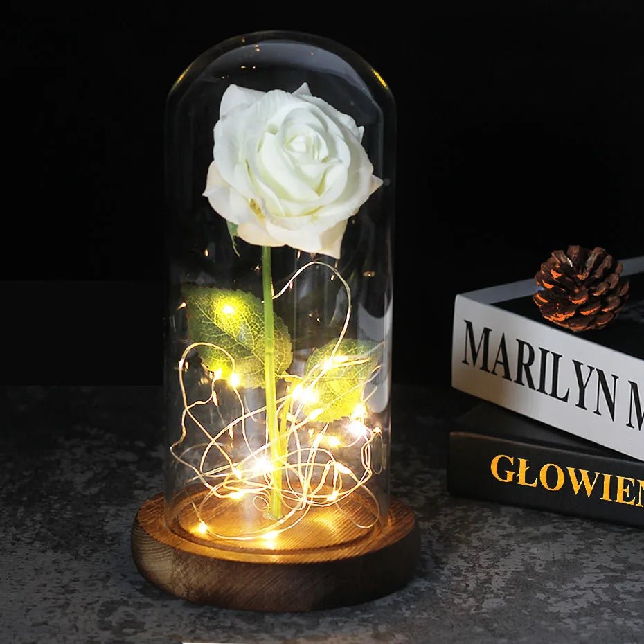 Velzora - Rose préservée sous cloche en verre avec éclairage LED | Velzora