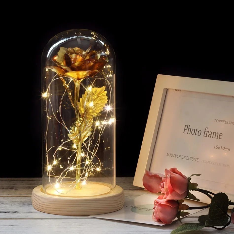 Velzora - Rose préservée sous cloche en verre avec éclairage LED | Velzora