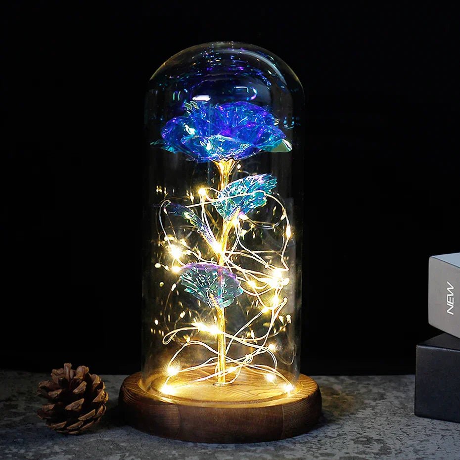 Velzora - Rose préservée sous cloche en verre avec éclairage LED | Velzora