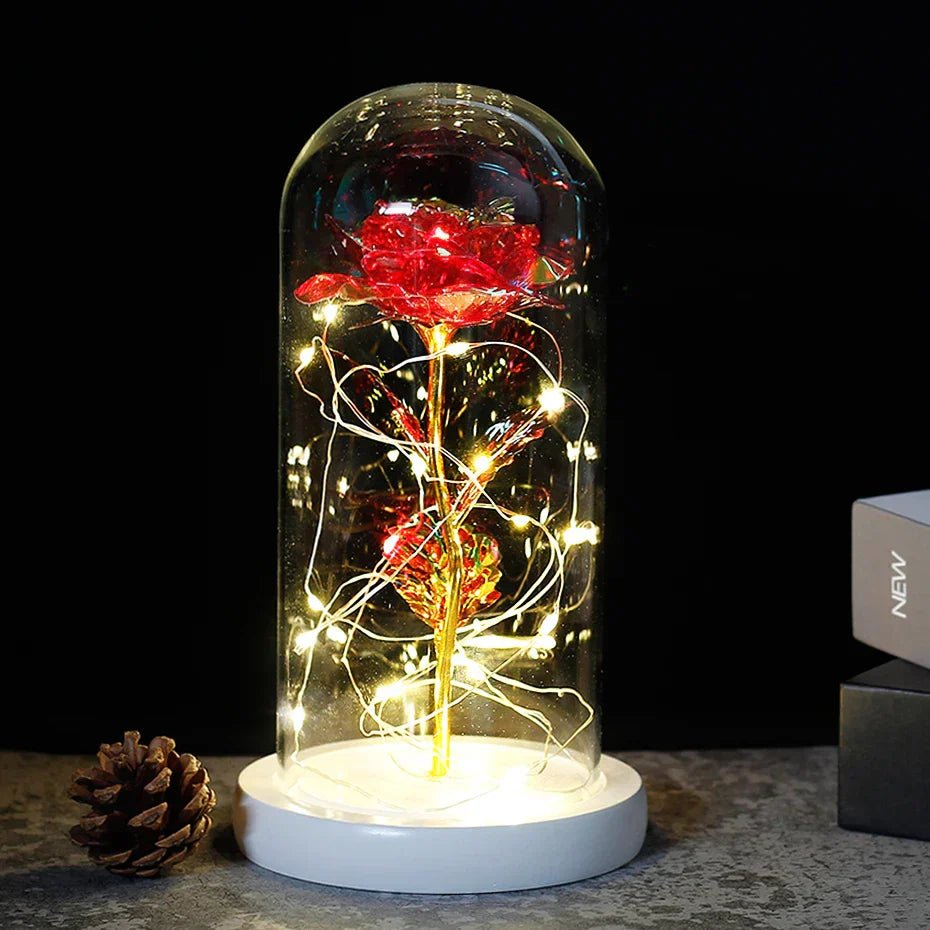 Velzora - Rose préservée sous cloche en verre avec éclairage LED | Velzora