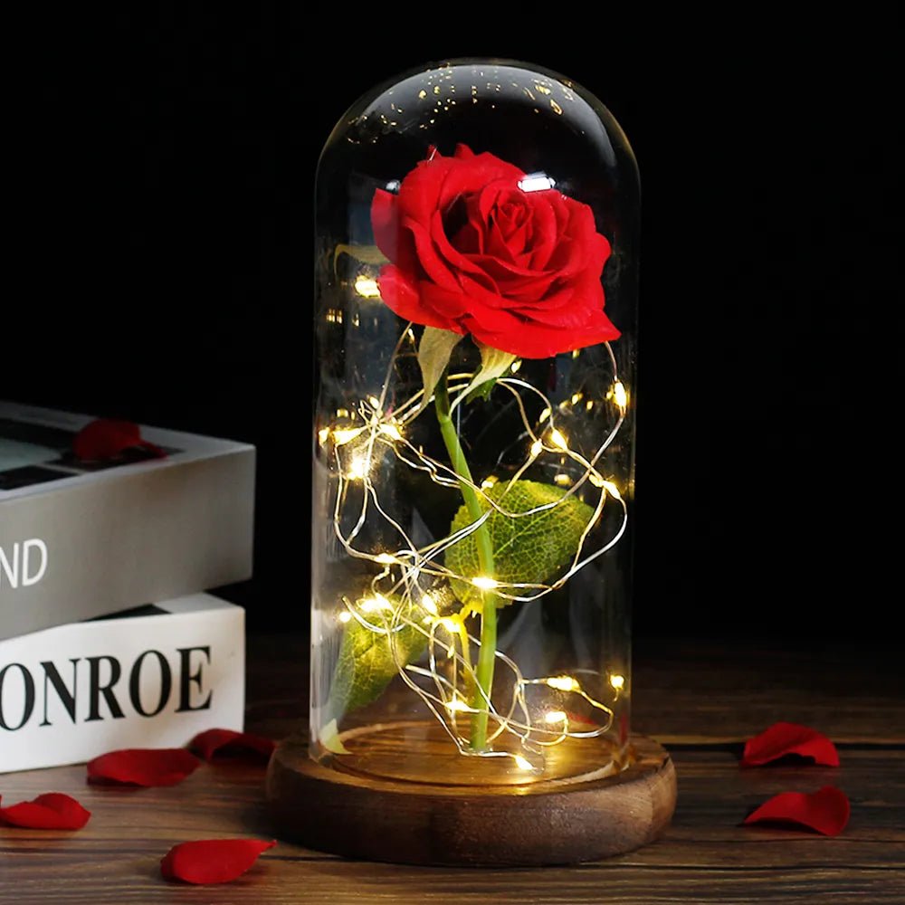 Velzora - Rose préservée sous cloche en verre avec éclairage LED | Velzora