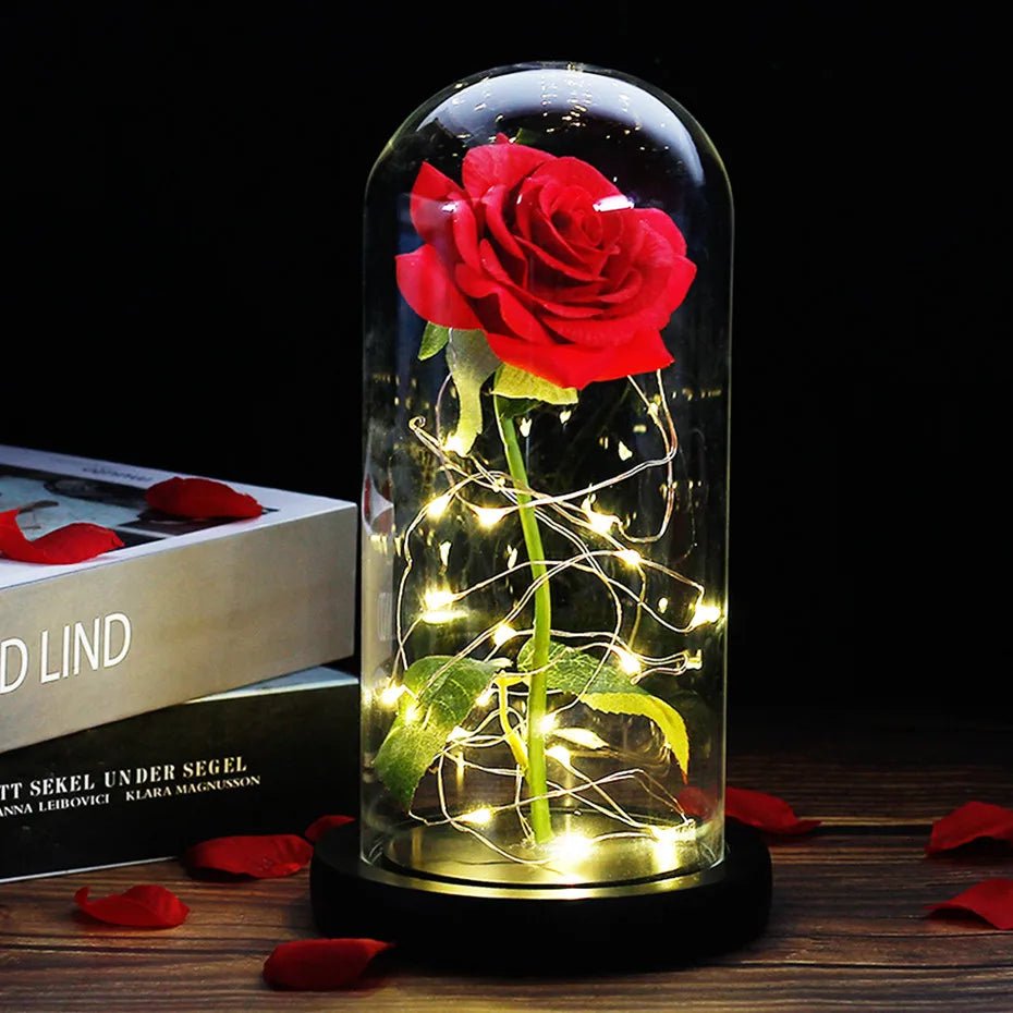 Velzora - Rose préservée sous cloche en verre avec éclairage LED | Velzora