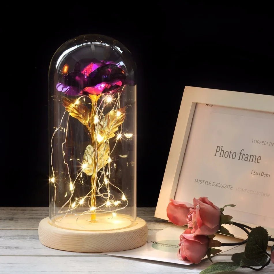 Velzora - Rose préservée sous cloche en verre avec éclairage LED | Velzora