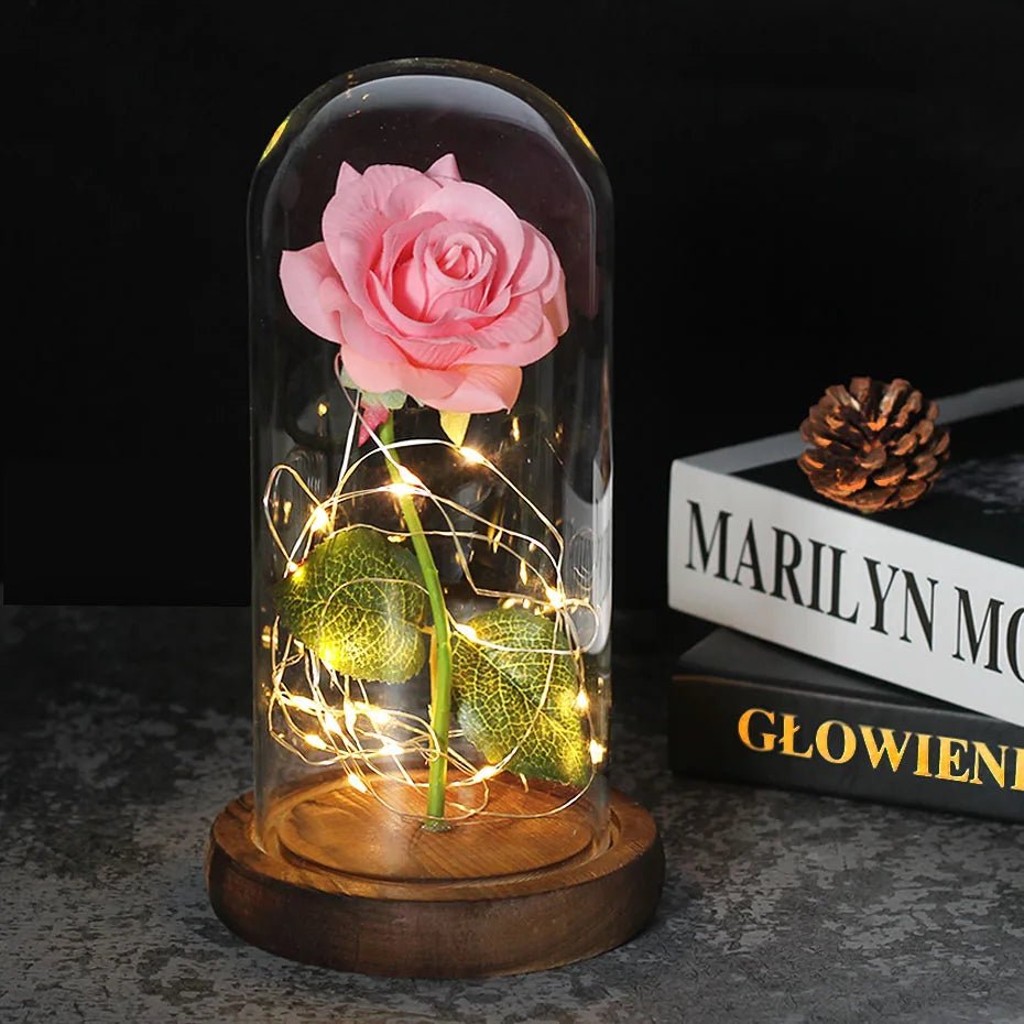 Velzora - Rose préservée sous cloche en verre avec éclairage LED | Velzora