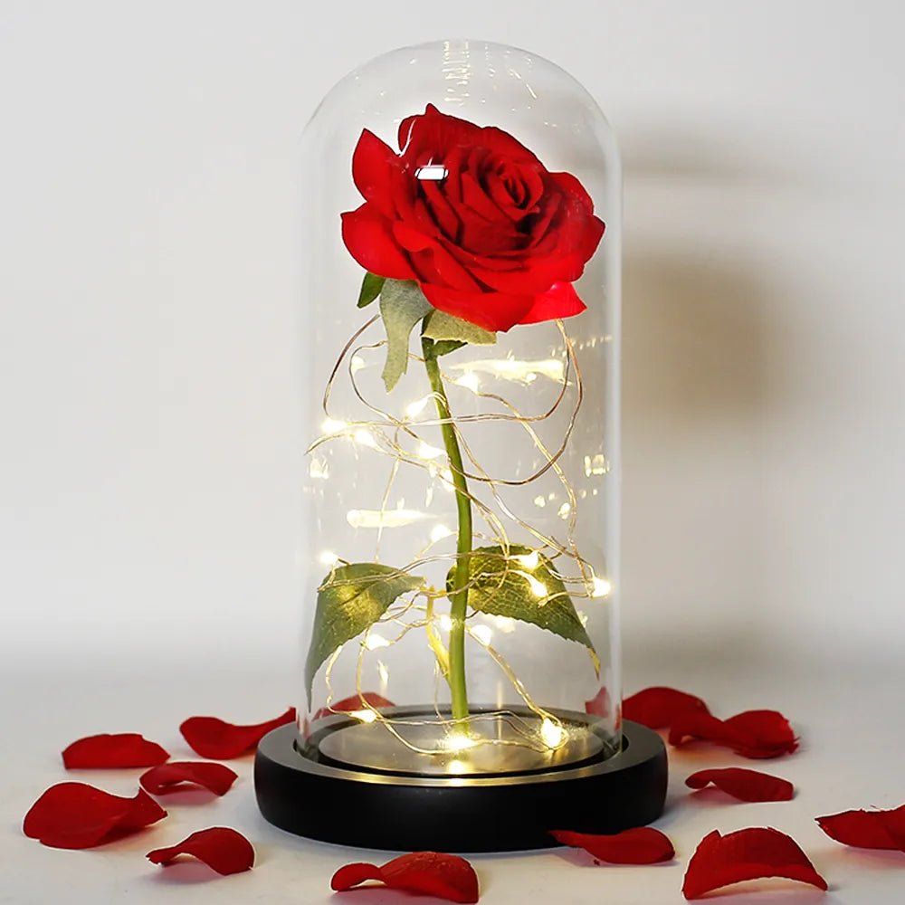 Velzora - Rose préservée sous cloche en verre avec éclairage LED | Velzora