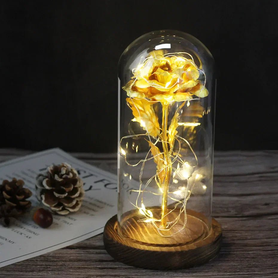 Velzora - Rose préservée sous cloche en verre avec éclairage LED | Velzora