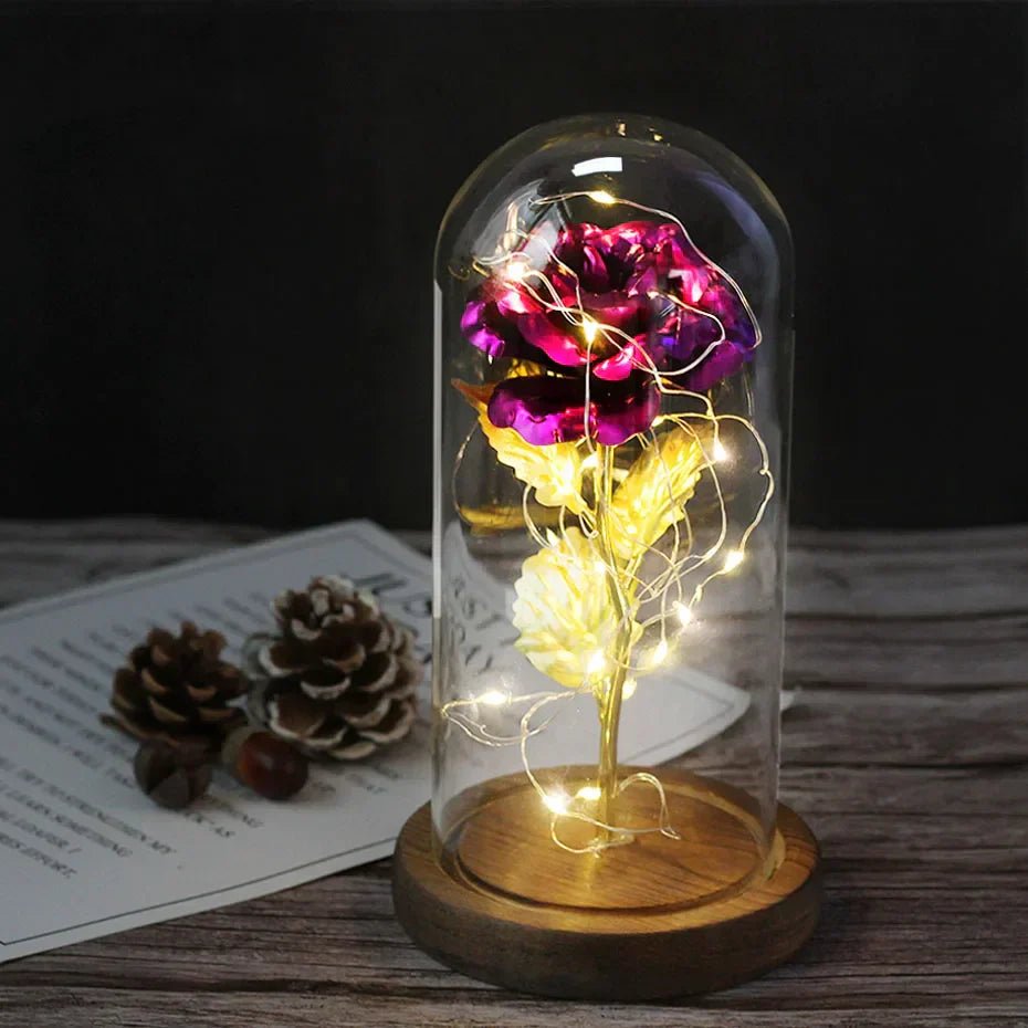 Velzora - Rose préservée sous cloche en verre avec éclairage LED | Velzora