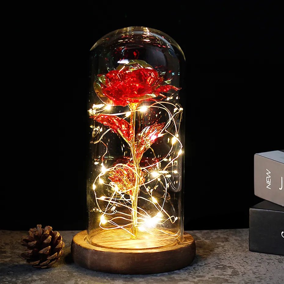Velzora - Rose préservée sous cloche en verre avec éclairage LED | Velzora