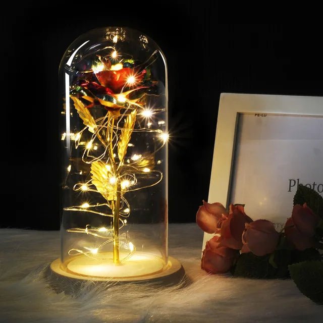 Velzora - Rose préservée sous cloche en verre avec éclairage LED | Velzora