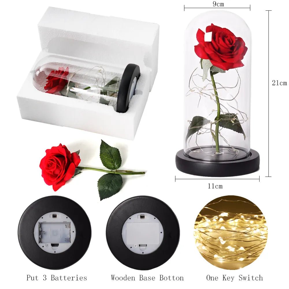 Velzora - Rose préservée sous cloche en verre avec éclairage LED | Velzora