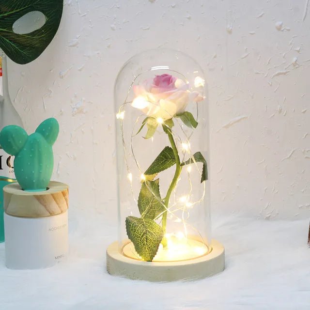 Velzora - Rose préservée sous cloche en verre avec éclairage LED | Velzora