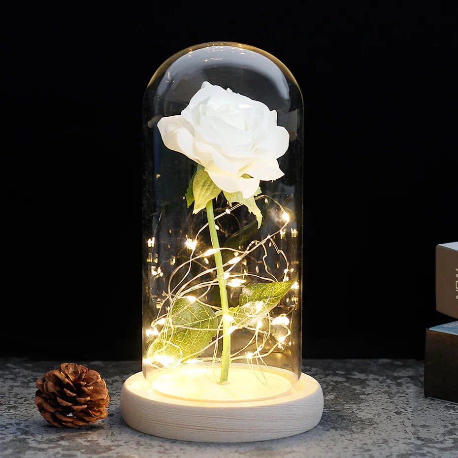 Velzora - Rose préservée sous cloche en verre avec éclairage LED | Velzora