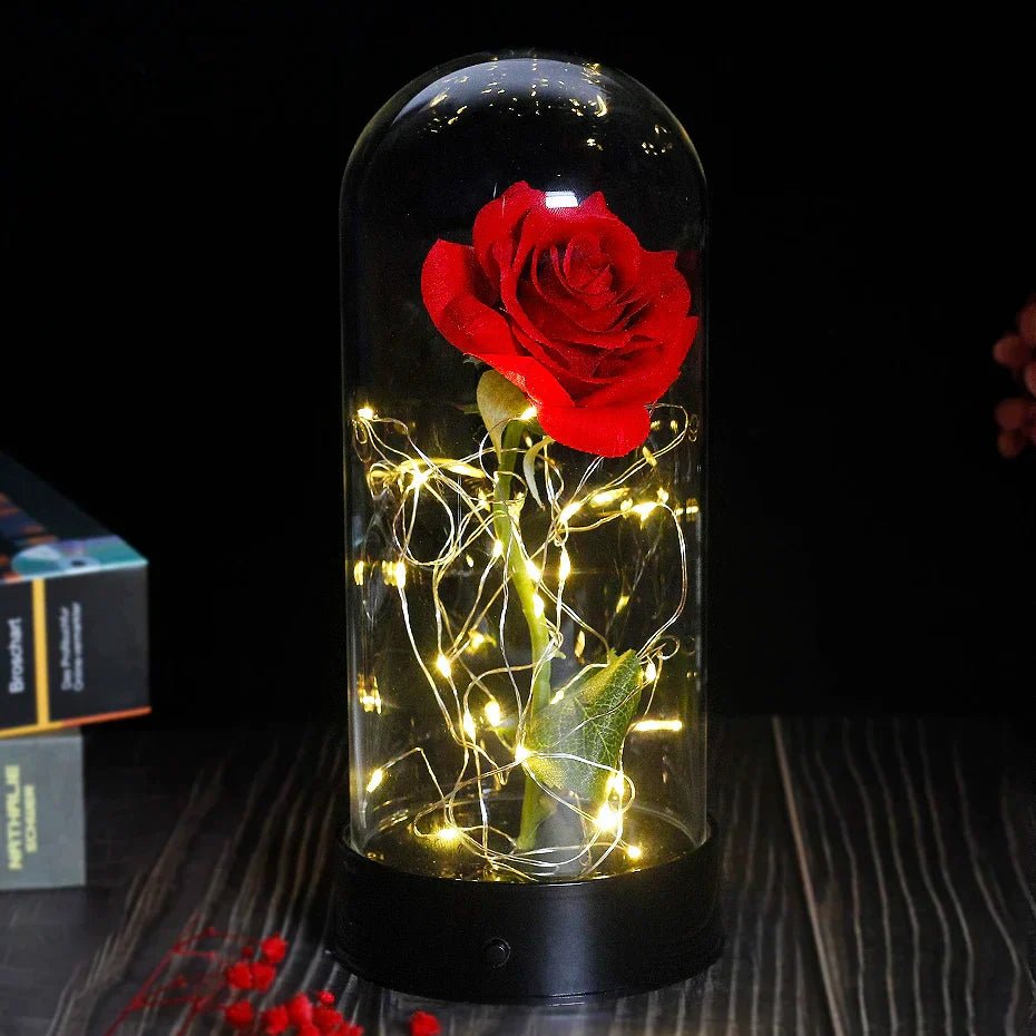 Velzora - Rose préservée sous cloche en verre avec éclairage LED | Velzora