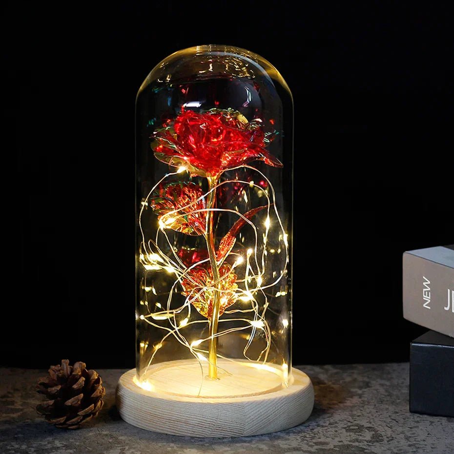 Velzora - Rose préservée sous cloche en verre avec éclairage LED | Velzora
