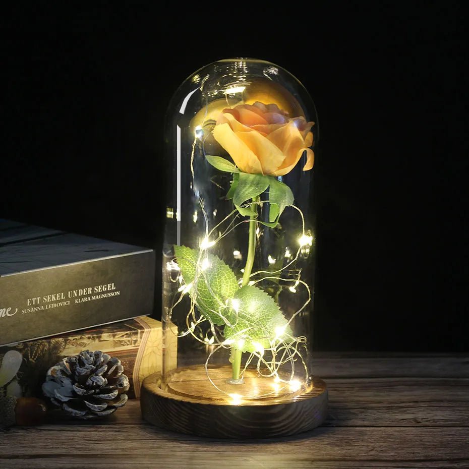 Velzora - Rose préservée sous cloche en verre avec éclairage LED | Velzora