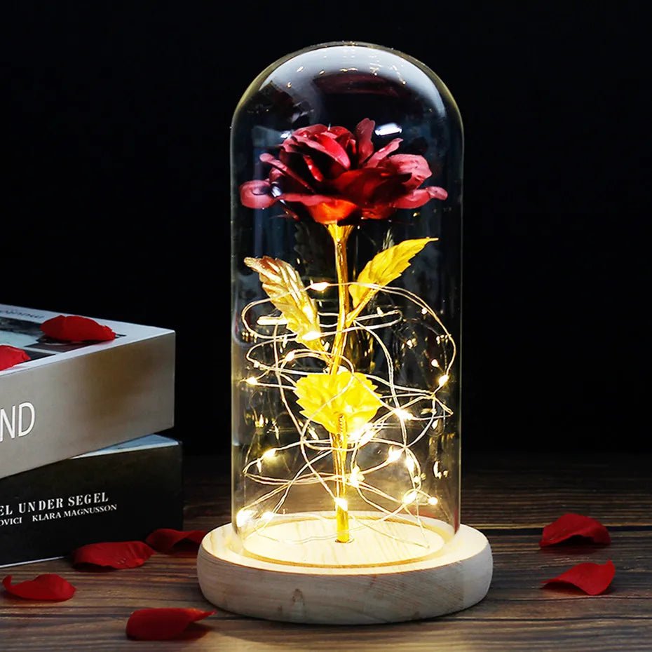 Velzora - Rose préservée sous cloche en verre avec éclairage LED | Velzora