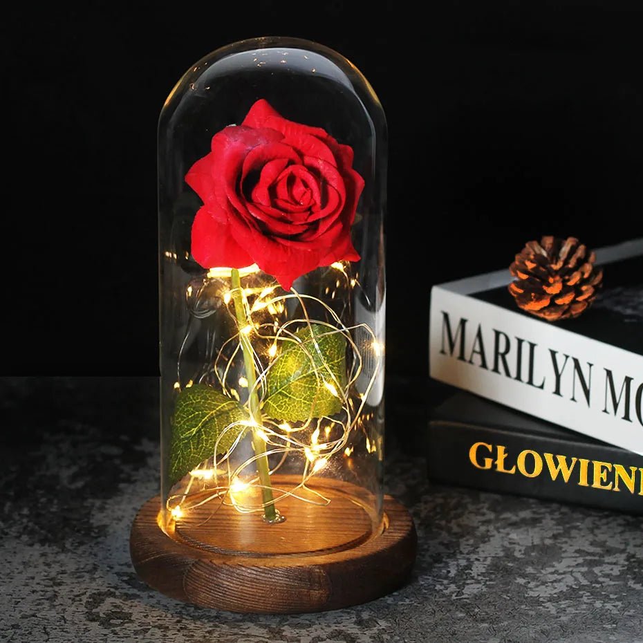 Velzora - Rose préservée sous cloche en verre avec éclairage LED | Velzora