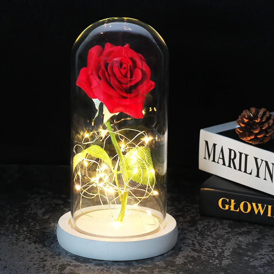 Velzora - Rose préservée sous cloche en verre avec éclairage LED | Velzora