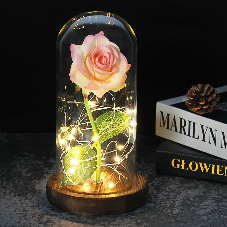 Velzora - Rose préservée sous cloche en verre avec éclairage LED | Velzora