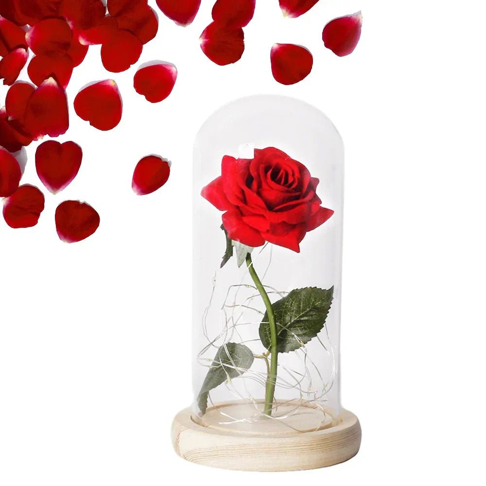 Velzora - Rose préservée sous cloche en verre avec éclairage LED | Velzora