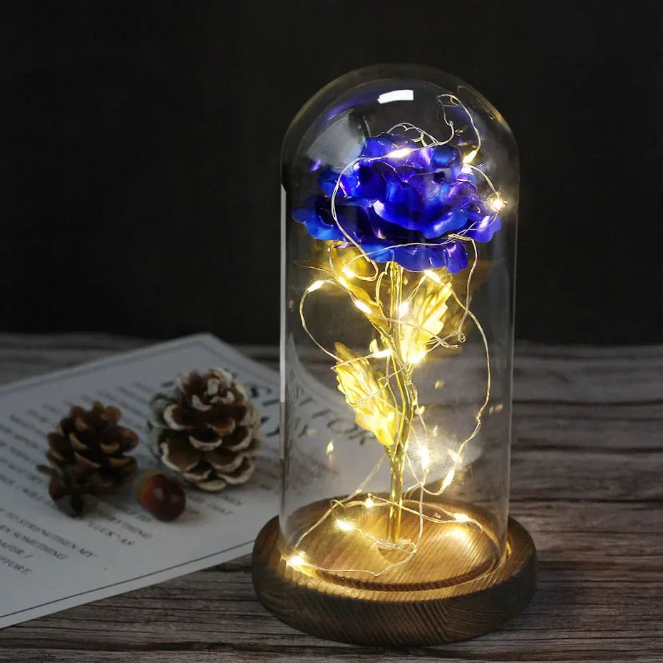 Velzora - Rose préservée sous cloche en verre avec éclairage LED | Velzora
